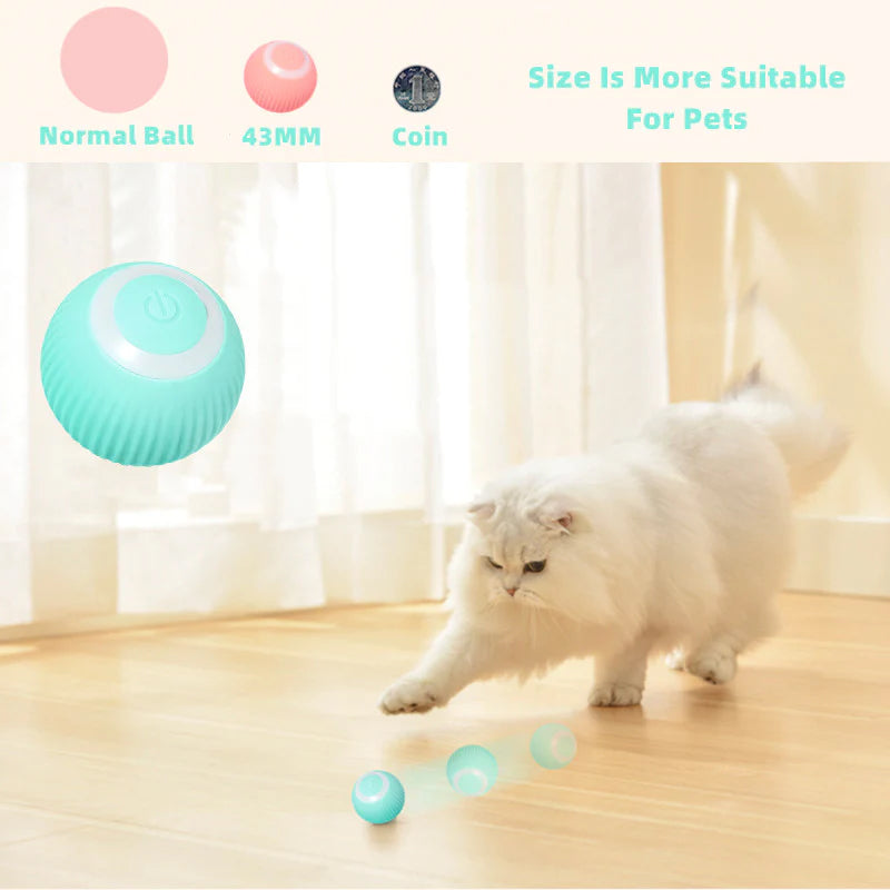 WhiskerRoll™ - Aktivieren Sie die natürlichen Instinkte Ihrer Katze! | 50% RABATT