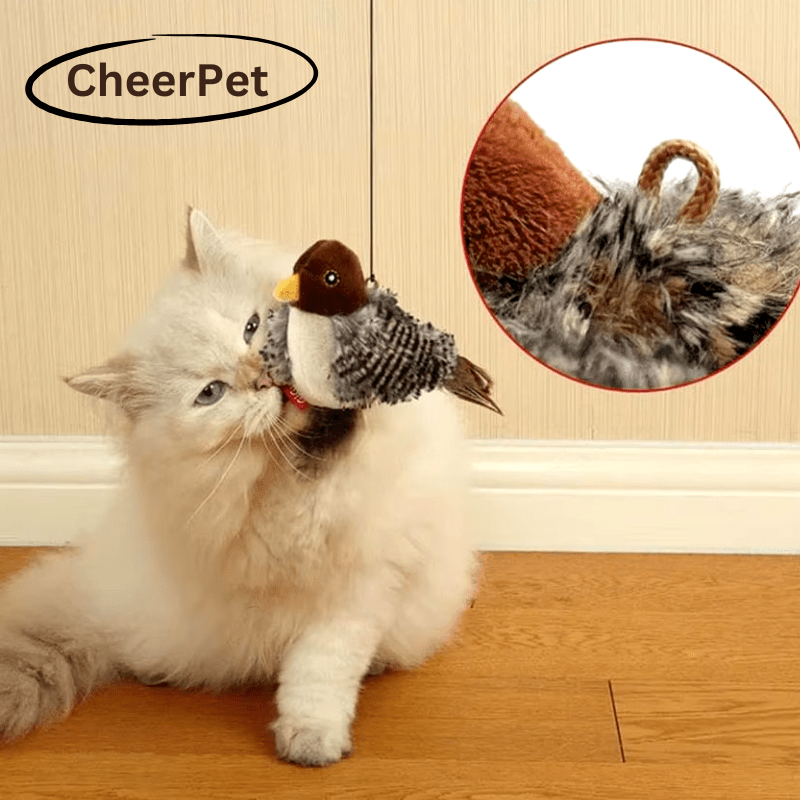 Katzenspielzeug in Vogel-Optik mit Federn – interaktives Plüschtier für Katzen zur Förderung von Spieltrieb und Jagdinstinkt