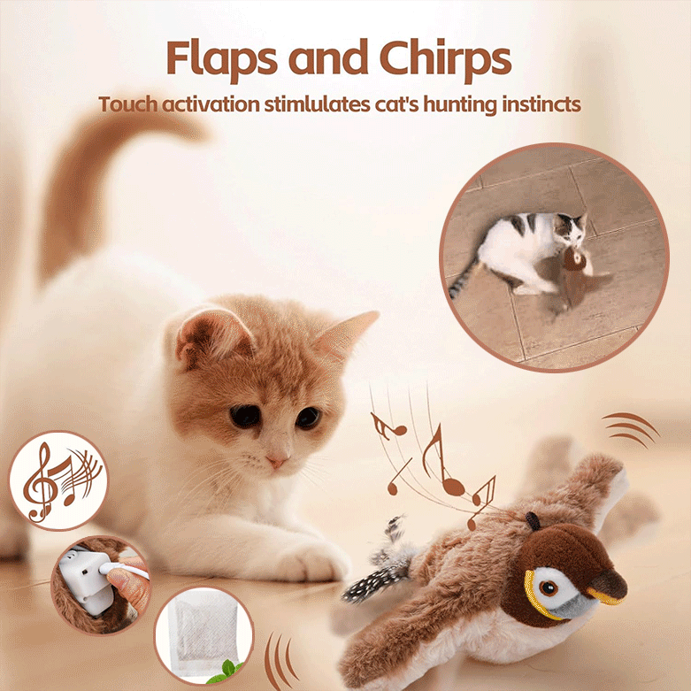 PurrPeep® |  Vogelspielzeug
