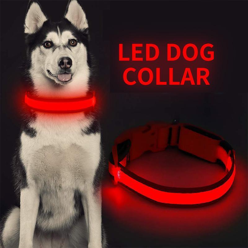 BrightTail™ | LED