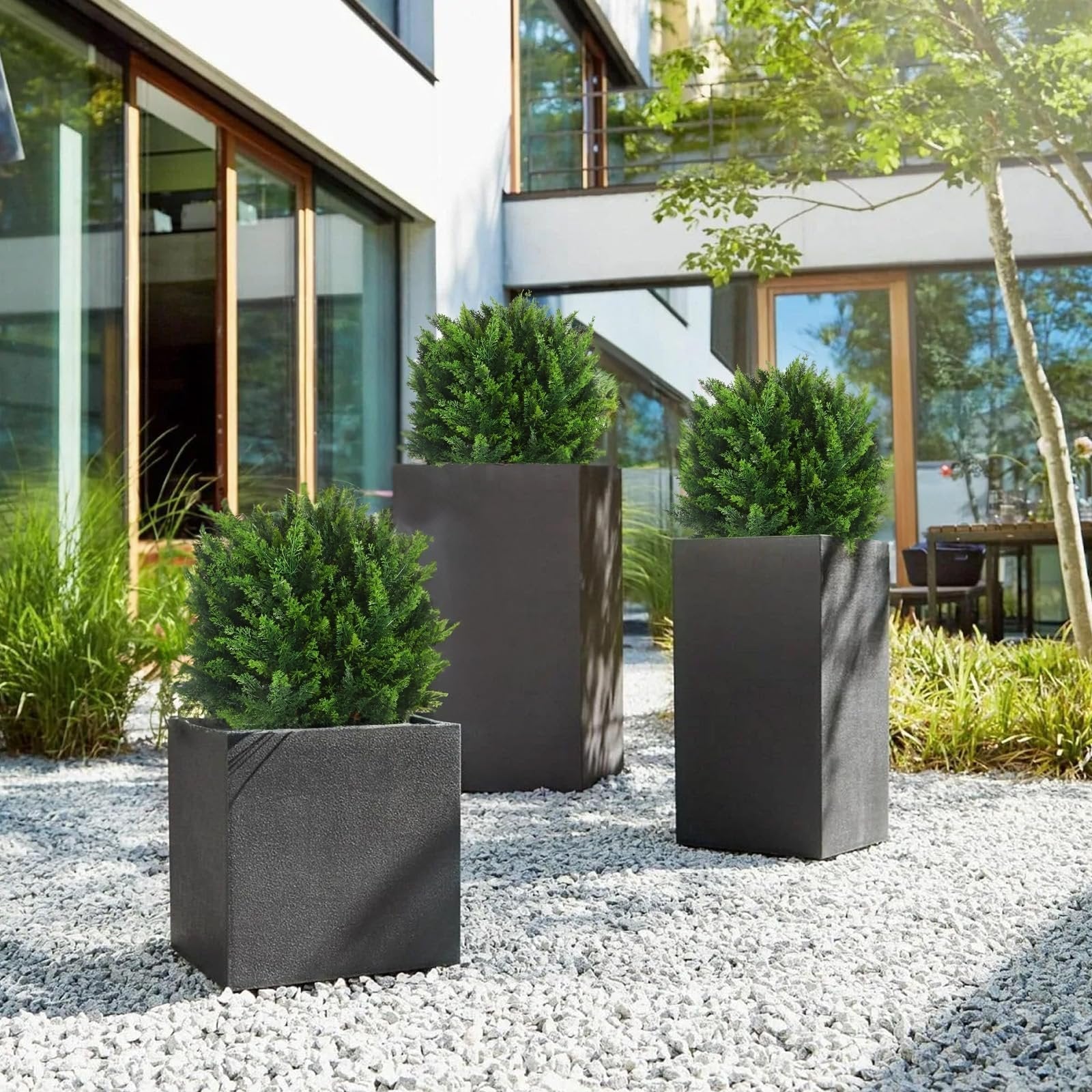 CedarLux® | Zedern Kugelbaum