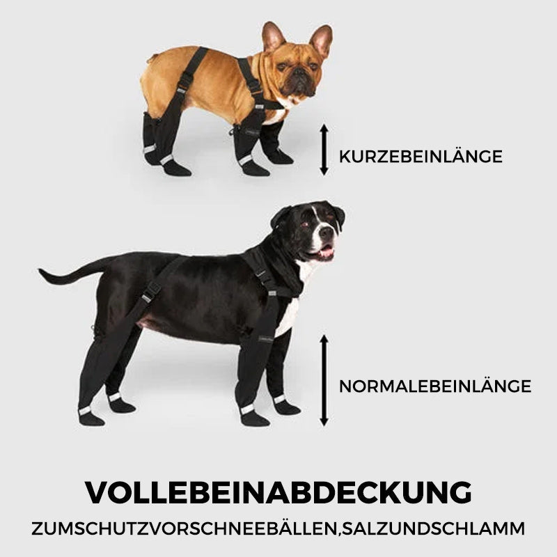 1+1 GRATIS | PawShield - Sichere und komfortable Pfoten