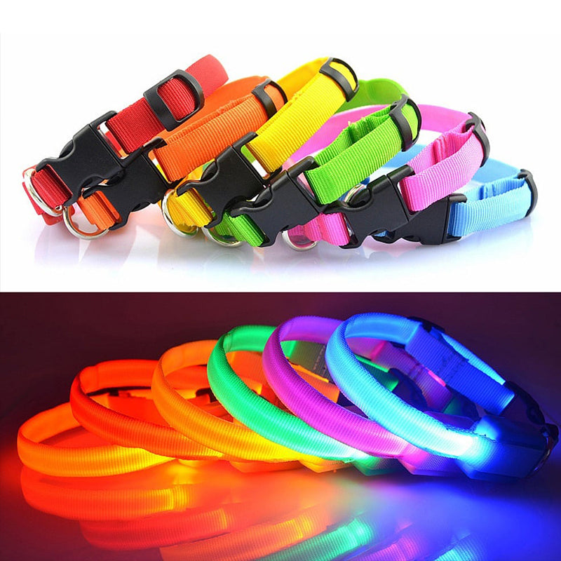 BrightTail™ | LED