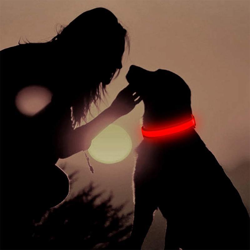 BrightTail™ | LED