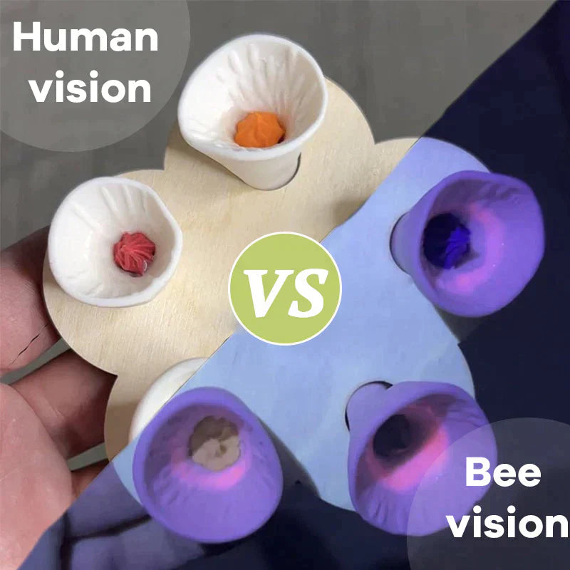 1+1 GRATIS | BuzzHive™ Bienenfreundlich