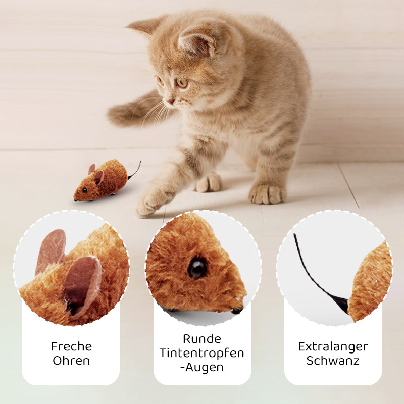 1+1 GRATIS | ZoomWhisk™ | Spannender Quarz-Klang