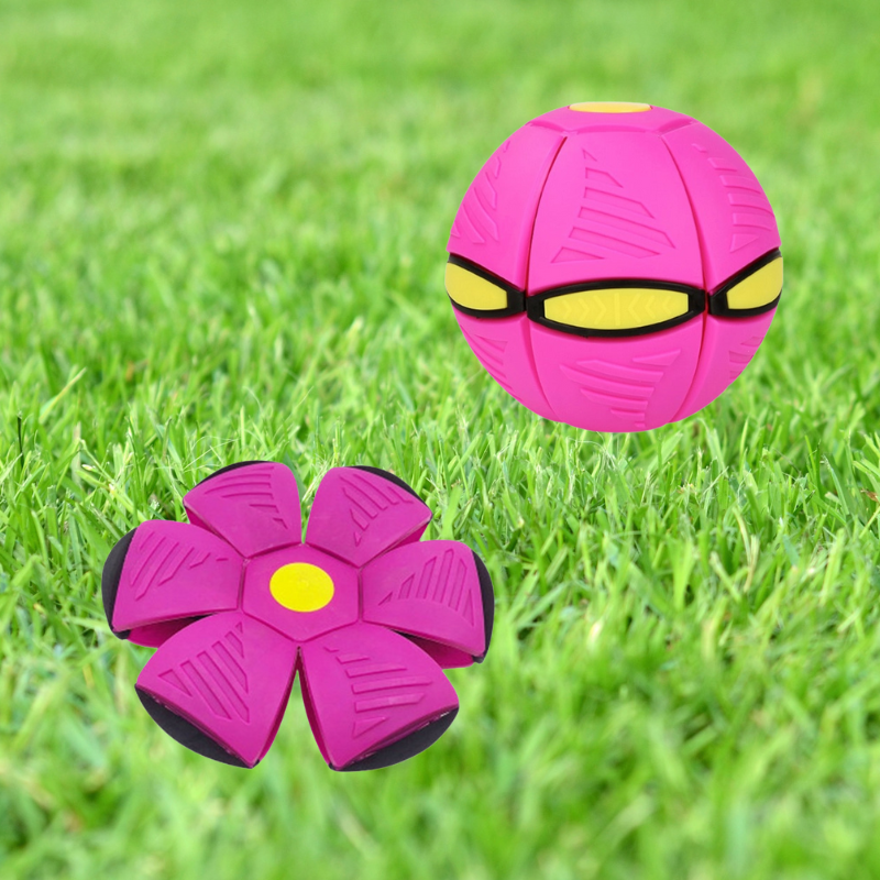 FlyBall X™ - Verwandelbarer Schwebeball für Hunde