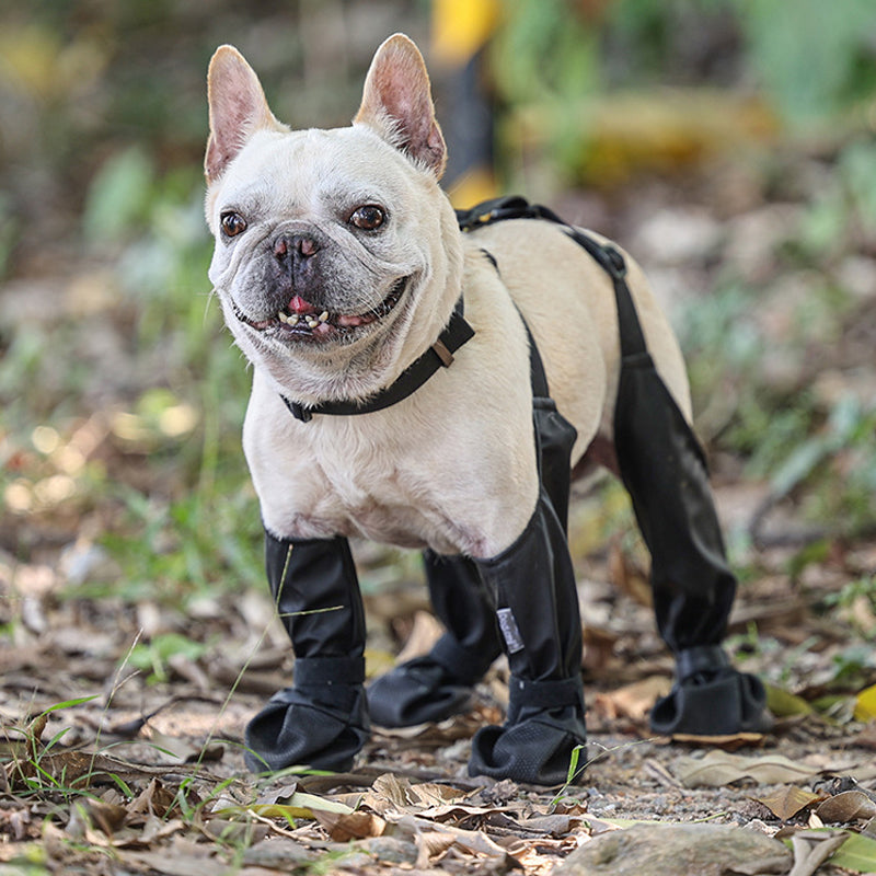 1+1 GRATIS | PawShield - Sichere und komfortable Pfoten