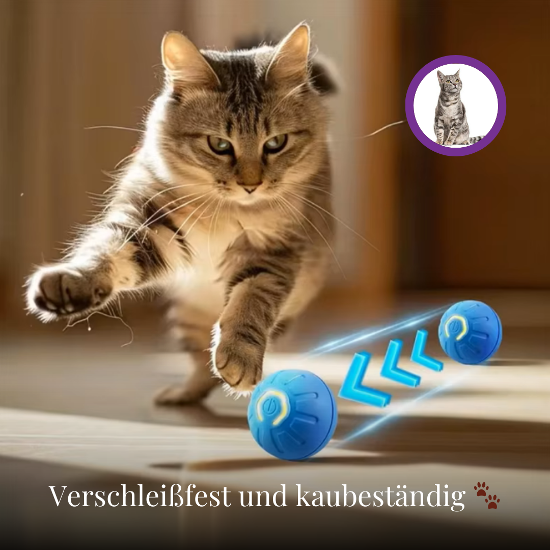 1+1 GRATIS | PawsPlay™ - Der interaktive Spielspaß für glückliche Hunde!