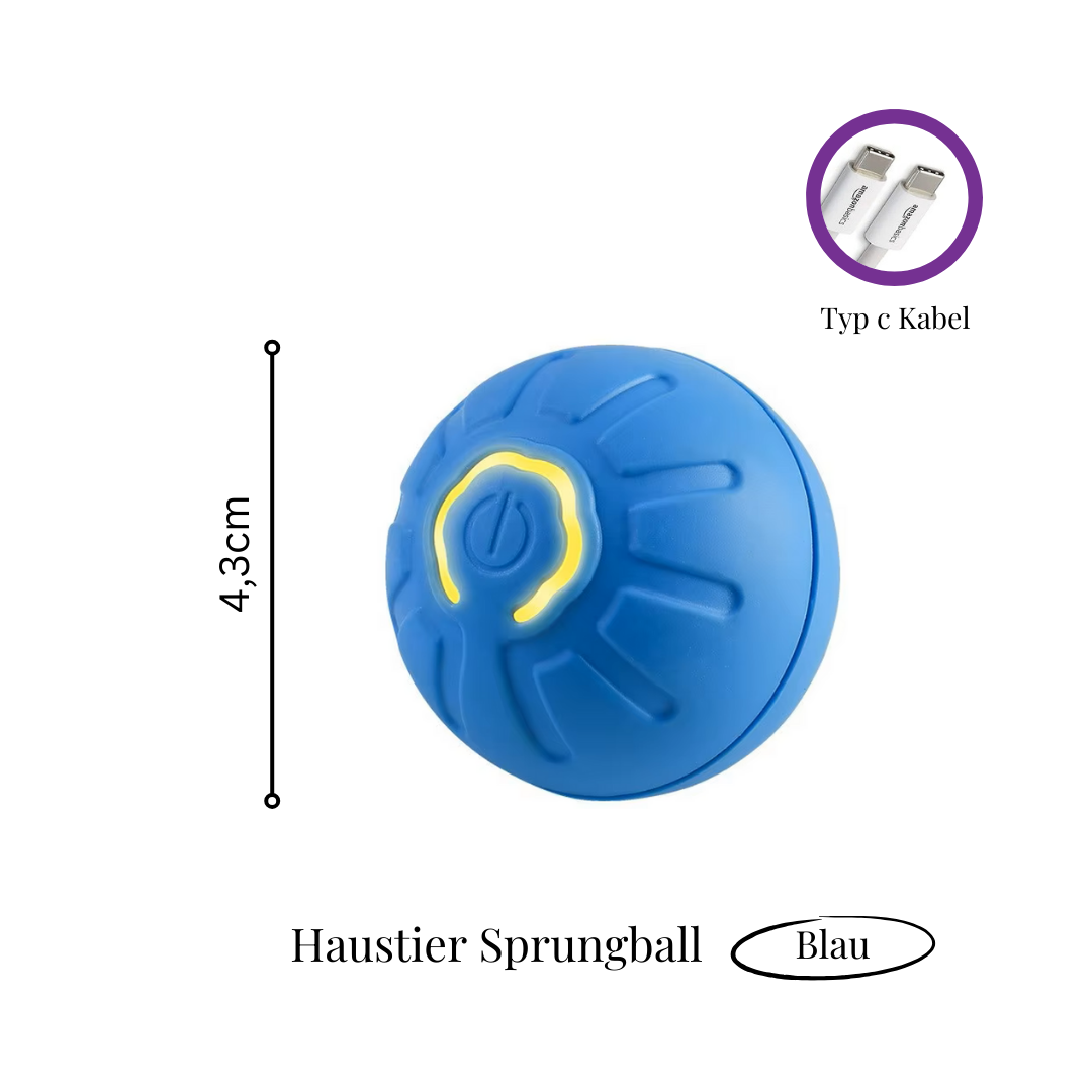 1+1 GRATIS | PawsPlay™ - Der interaktive Spielspaß für glückliche Hunde!