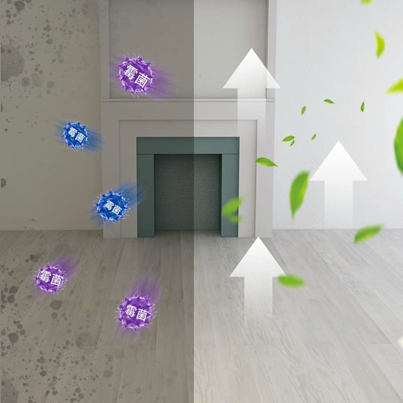1+1 GRATIS | AntiMold™ - Schützen Sie sich und Ihre Gesundheit vor giftigem Schimmel