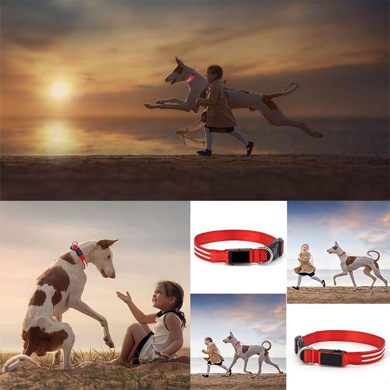 BrightTail™ | LED