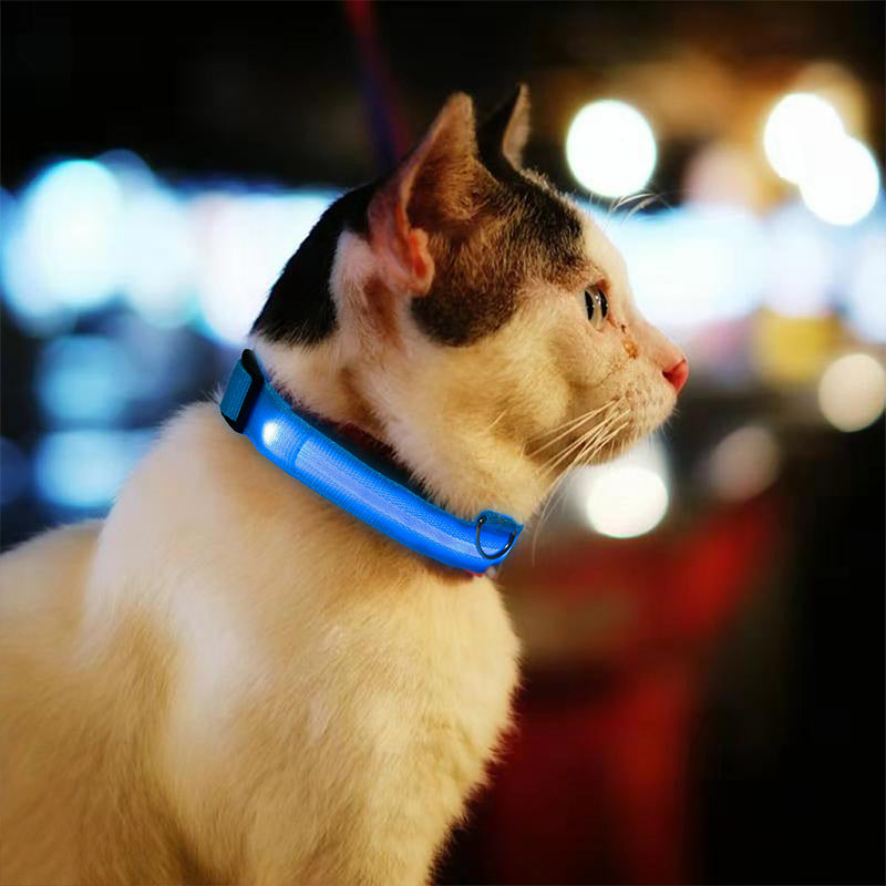 BrightTail™ | LED