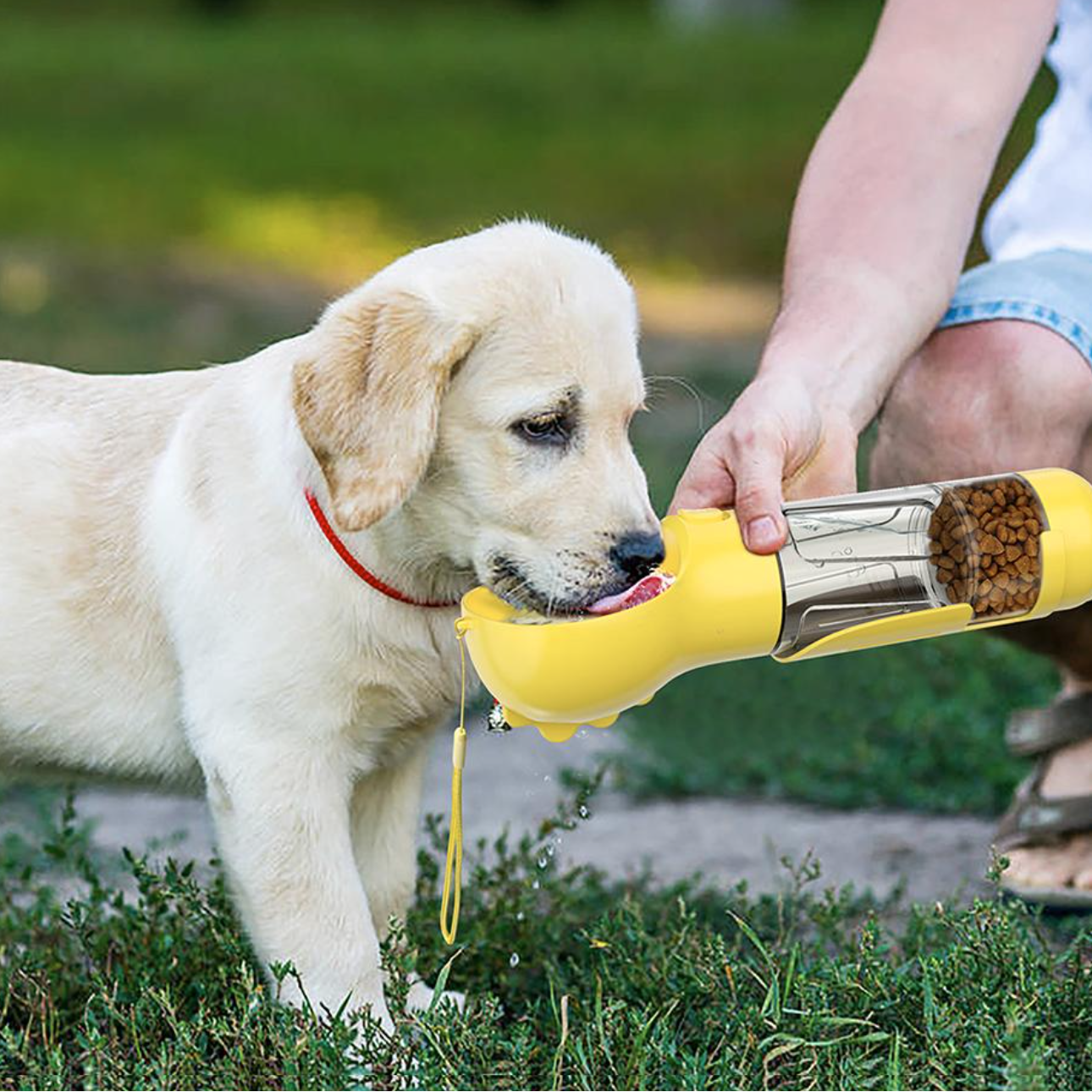50% RABATT | DogViva™ | Sofortige Hydrationsfreiheit für Hunde