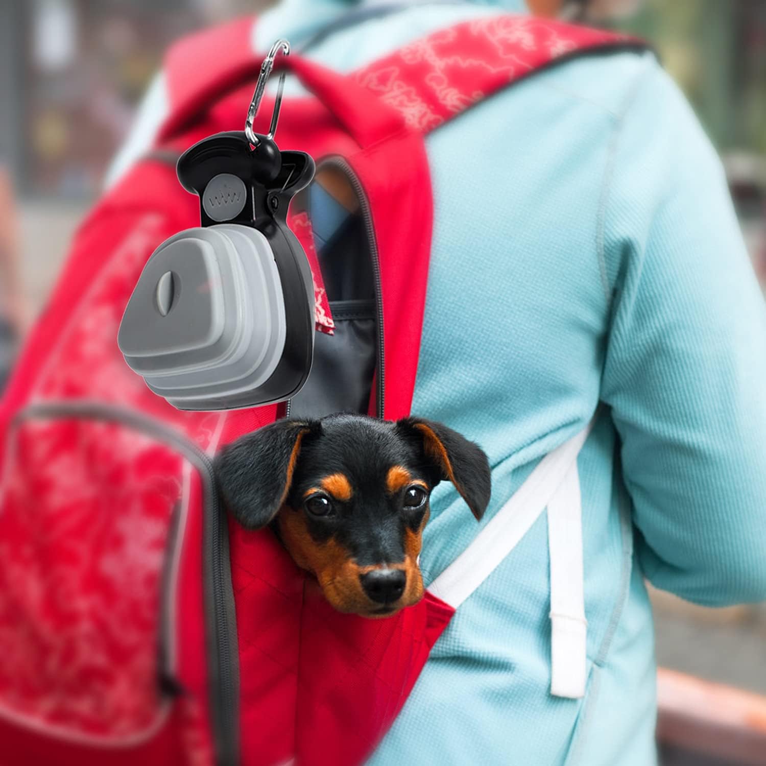 1+1 GRATIS | ScoopMaster™ - Ein Muss für jeden Hundebesitzer