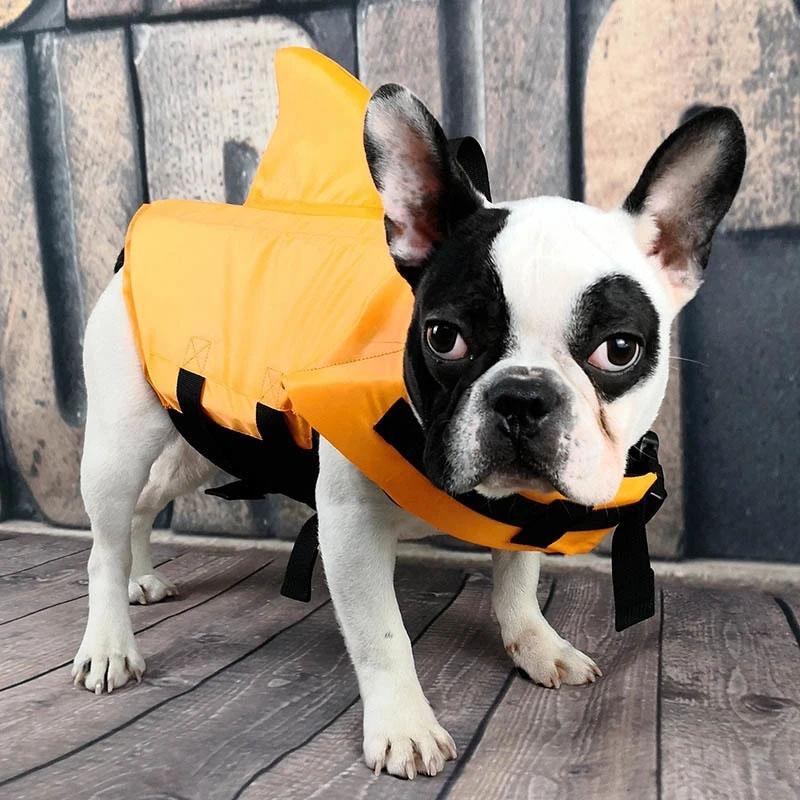 PawFin | Schwimmweste mit Haifischflosse für Hunde
