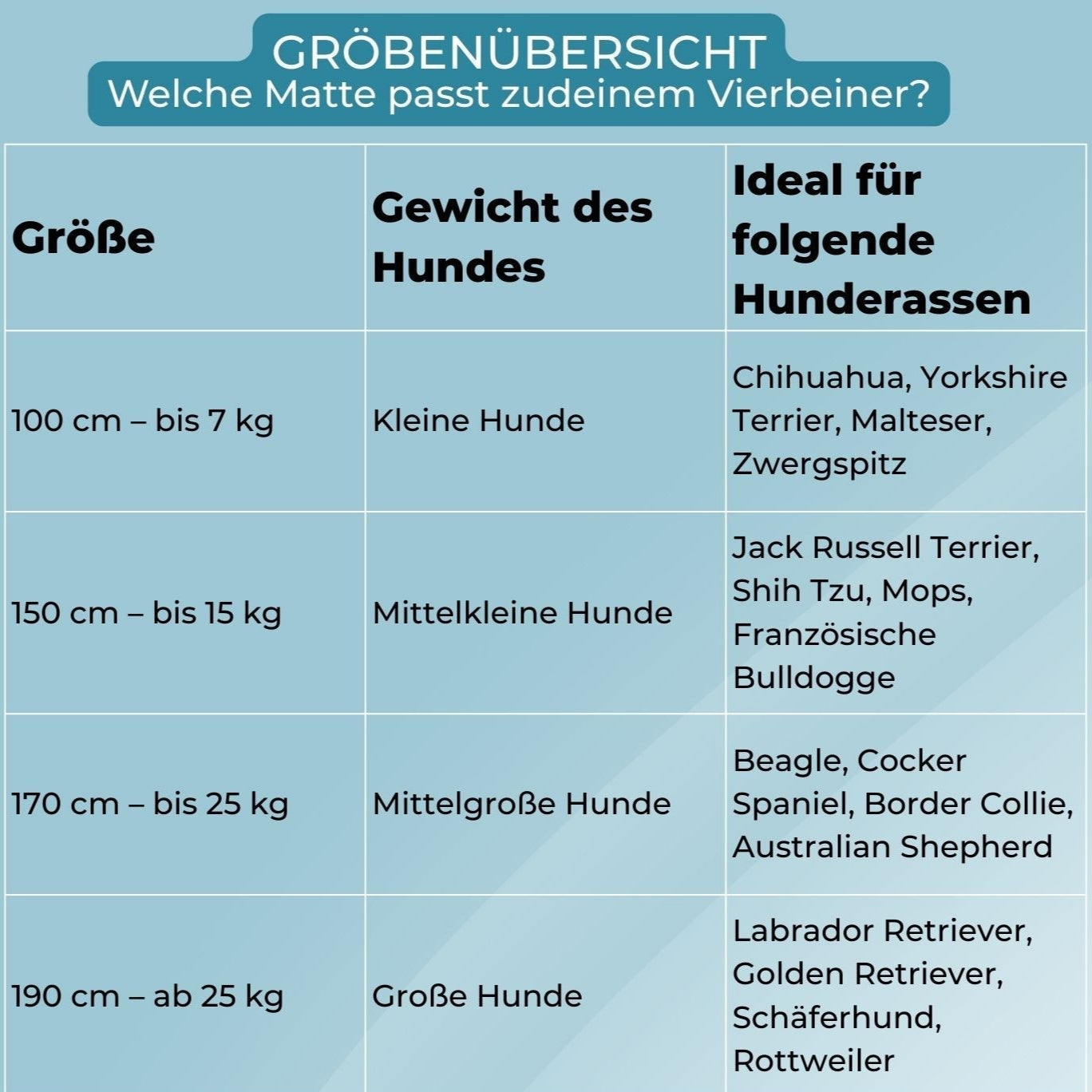 SplashPaws™ - Sommerlicher Wasserspaß für Hunde und Kinder