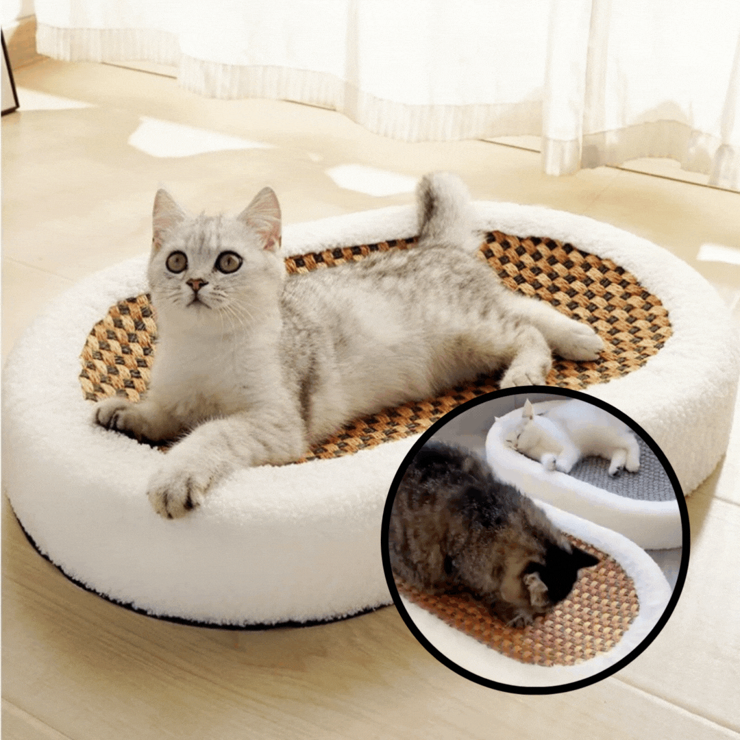 50% Rabatt | PurrLounge™ | Plüsch-Katzenbett mit kratzbarer Oberfläche