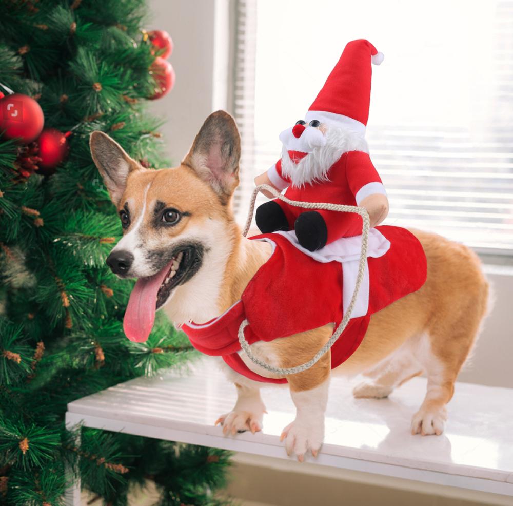 SantaPup® | GlowDog Deko-Hund Weihnachten – 50 % Rabatt jetzt sichern