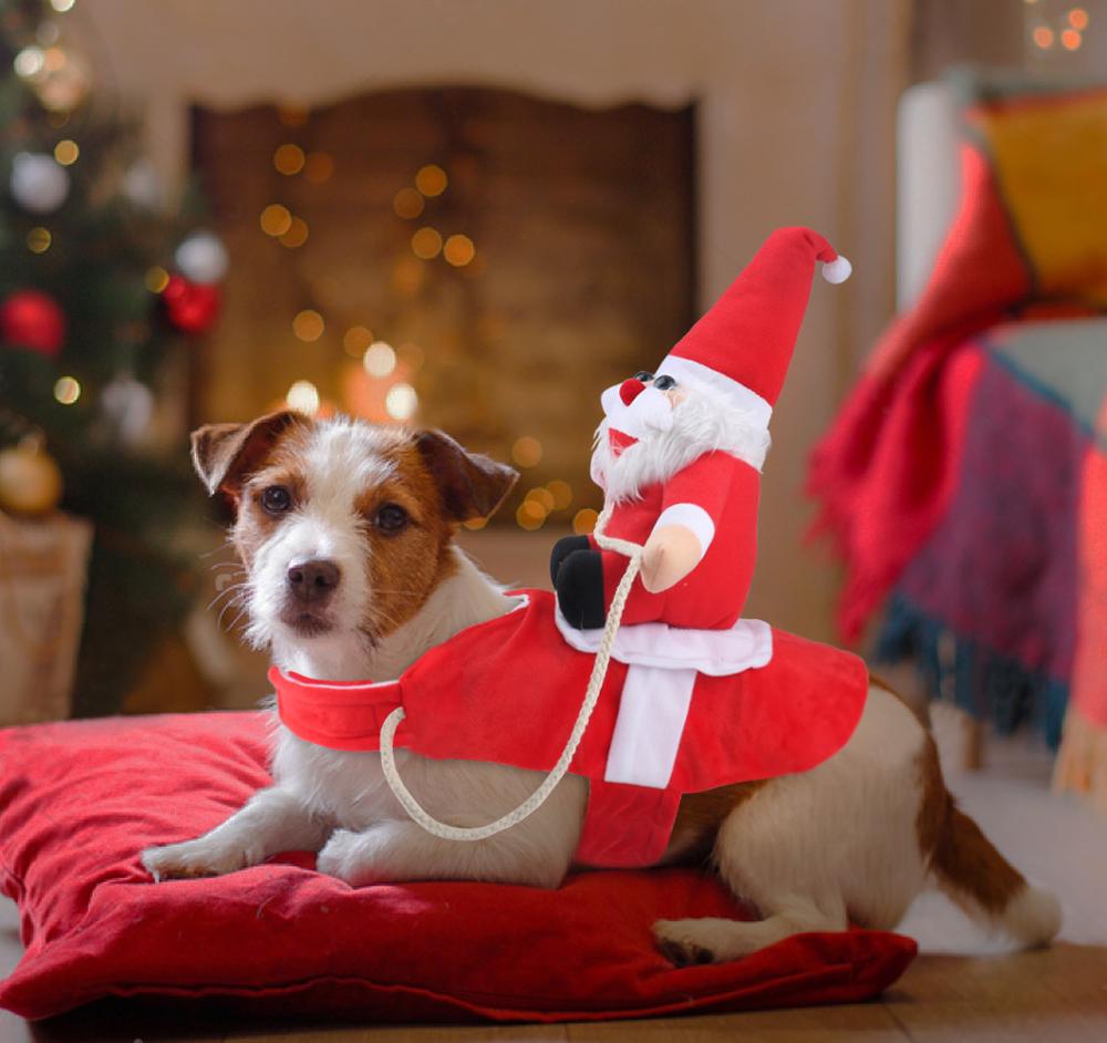 SantaPup® | GlowDog Deko-Hund Weihnachten – 50 % Rabatt jetzt sichern