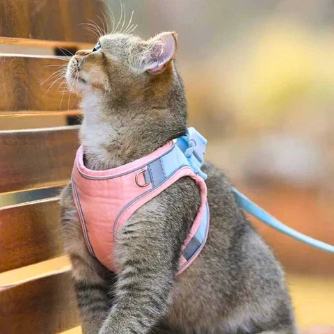 PawGuard Harness - Bequemes Katzengeschirr mit reflektierenden Streifen für sichere Nächte