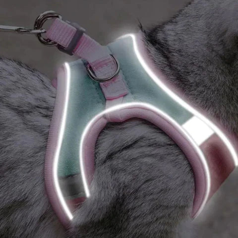 PawGuard Harness - Bequemes Katzengeschirr mit reflektierenden Streifen für sichere Nächte