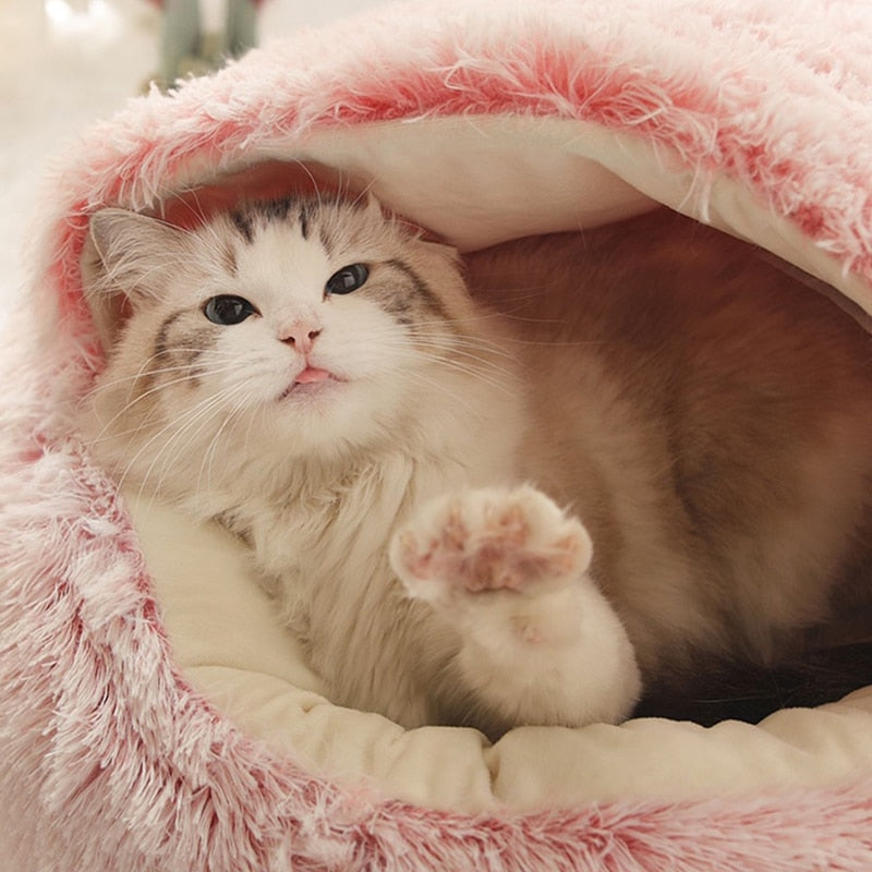 KittyCove® | Katzenhöhle-Bett