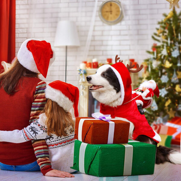 SantaPup® | GlowDog Deko-Hund Weihnachten – 50 % Rabatt jetzt sichern