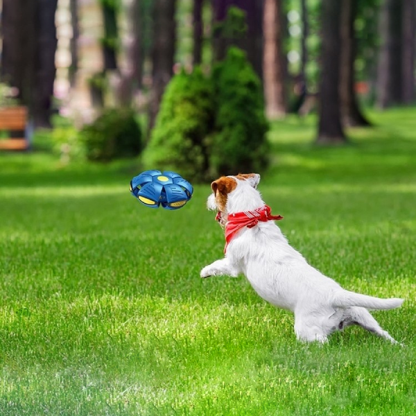 FlyBall X™ - Verwandelbarer Schwebeball für Hunde