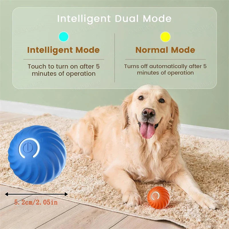 1+1 GRATIS | PawsPlay™ - Der interaktive Spielspaß für glückliche Hunde!