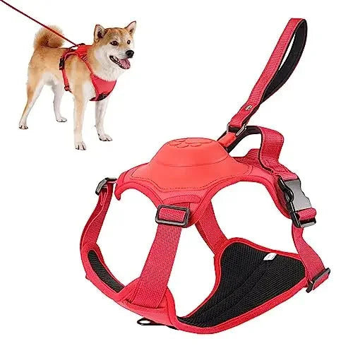 WalkGuard® | DuoHarness Komplettes Geschirr-Leinen-Set