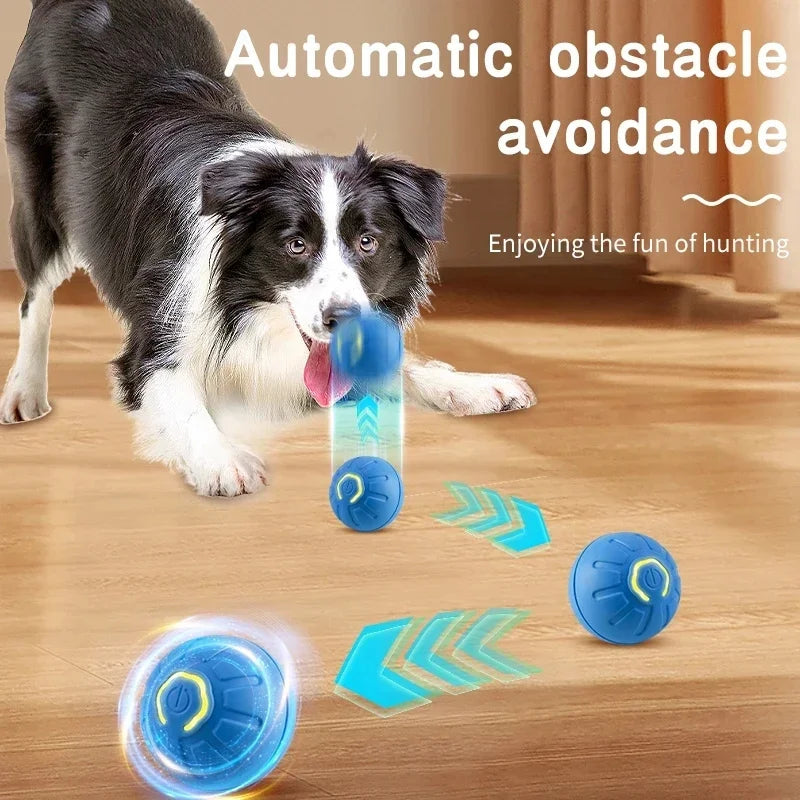 1+1 GRATIS | PawsPlay™ - Der interaktive Spielspaß für glückliche Hunde!