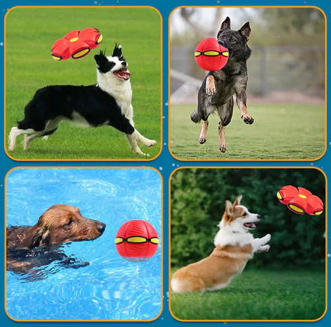 FlyBall X™ - Verwandelbarer Schwebeball für Hunde