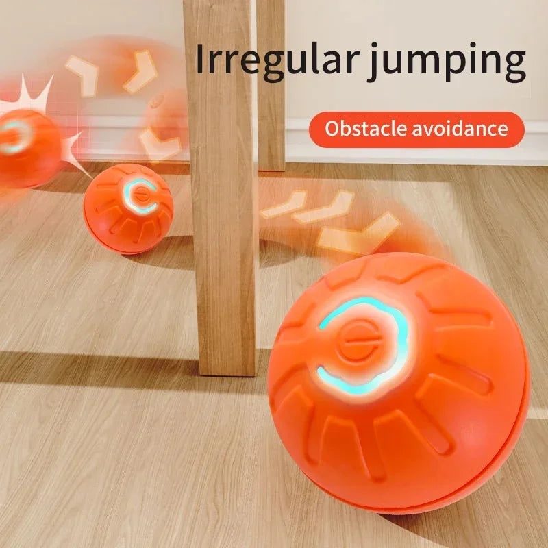 1+1 GRATIS | PawsPlay™ - Der interaktive Spielspaß für glückliche Hunde!