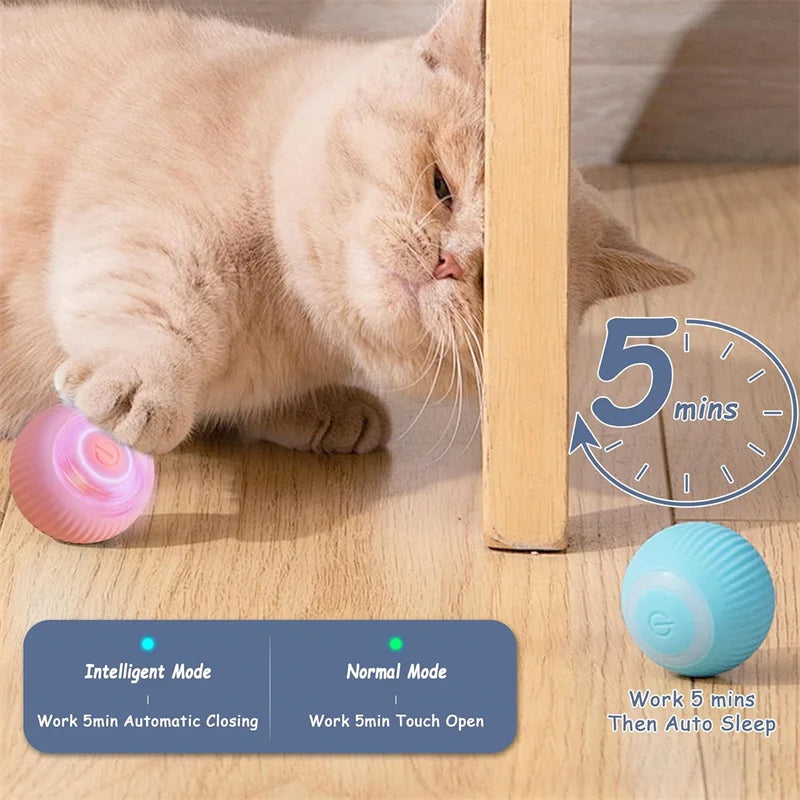 1+1 GRATIS | PawsPlay™ - Der interaktive Spielspaß für glückliche Hunde!