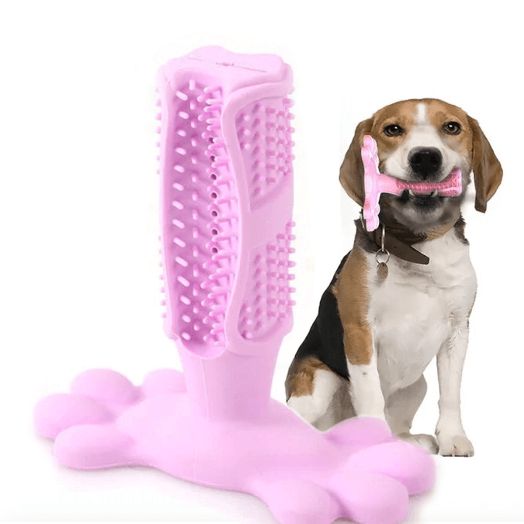 1+1 GRATIS | FurPal™ - Machen Sie die Zahnpflege Ihres Hundes zu einer stressfreien Routine!