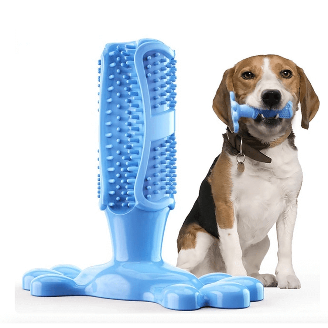 1+1 GRATIS | FurPal™ - Machen Sie die Zahnpflege Ihres Hundes zu einer stressfreien Routine!