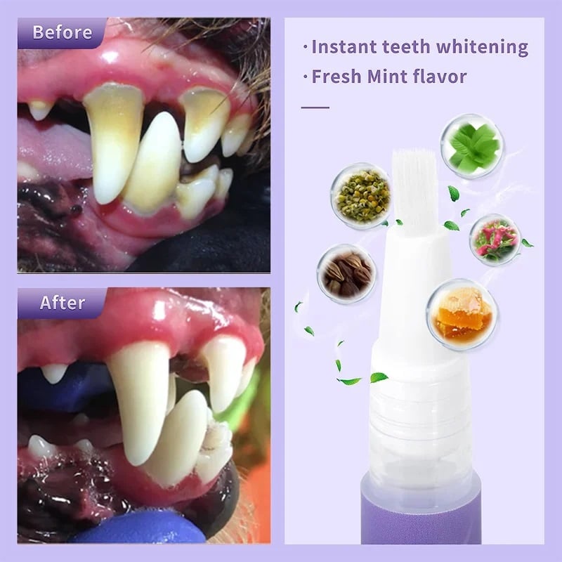 1+1 GRATIS | OralGlow™ - Die ultimative Lösung für die Zahngesundheit und den frischen Atem Ihres Haustieres!