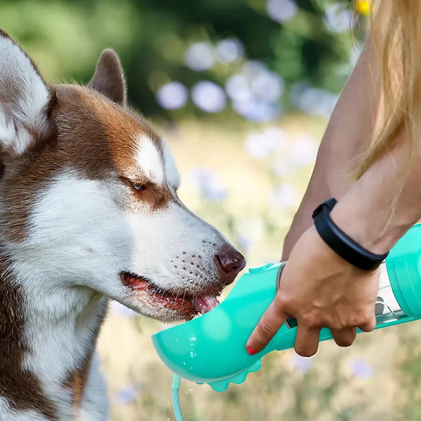 50% RABATT | DogViva™ | Sofortige Hydrationsfreiheit für Hunde