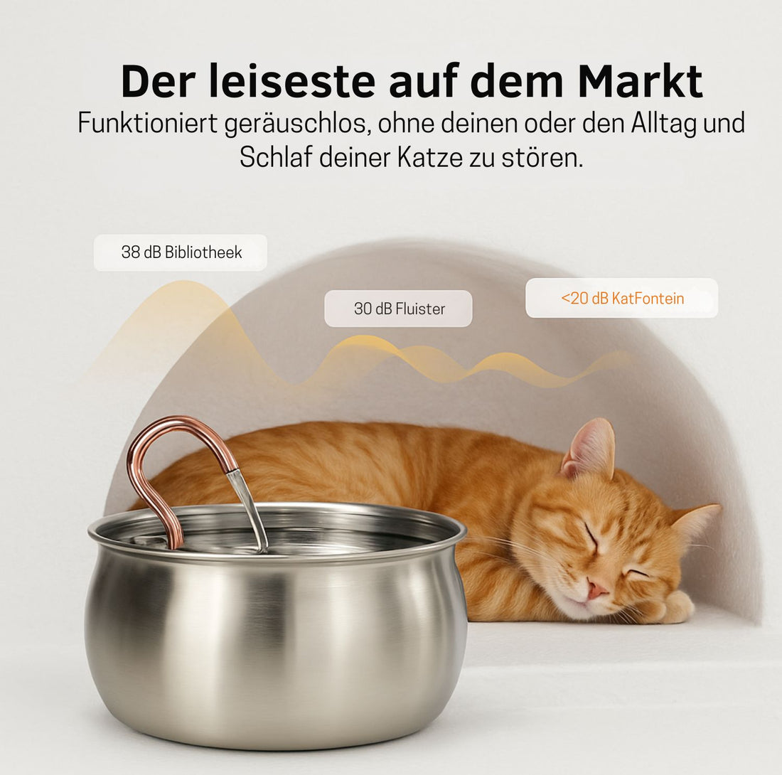 WhiskerWell | Flüsterleiser Edelstahl-Katzenbrunnen | Saubere, fließende, stressfreie Flüssigkeitszufuhr