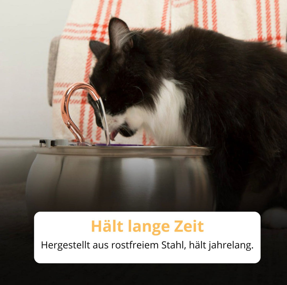 WhiskerWell | Flüsterleiser Edelstahl-Katzenbrunnen | Saubere, fließende, stressfreie Flüssigkeitszufuhr