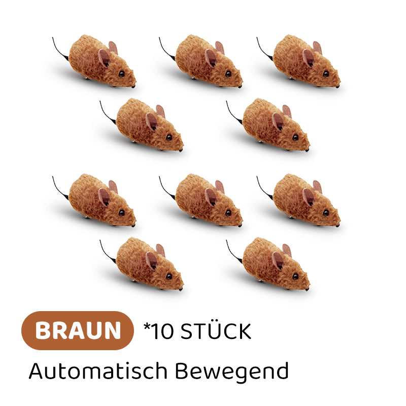 1+1 GRATIS | PurrPlay™ Begeisternder Quietschsound