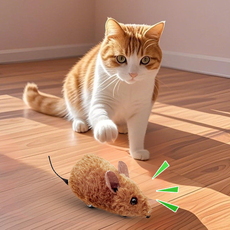 1+1 GRATIS | PurrPlay™ Begeisternder Quietschsound
