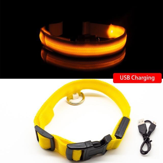 BrightTail™ | LED