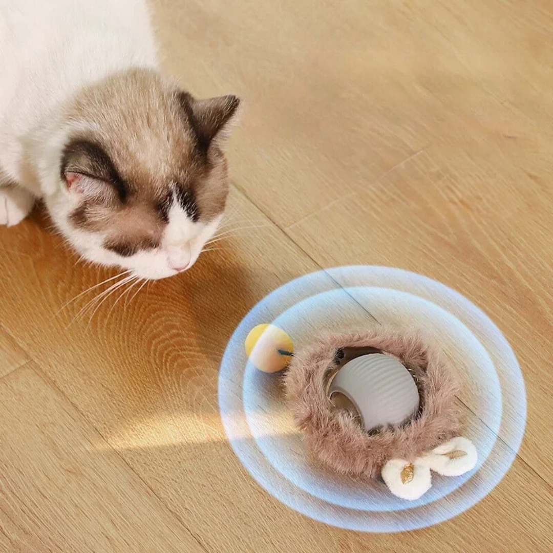 1+1 GRATIS | PurrrTwirl® | Interaktiver Ball für Katzen