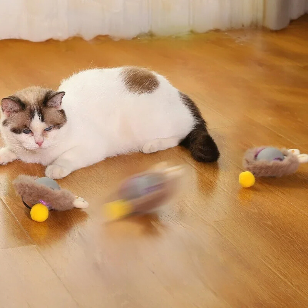 1+1 GRATIS | PurrrTwirl® | Interaktiver Ball für Katzen