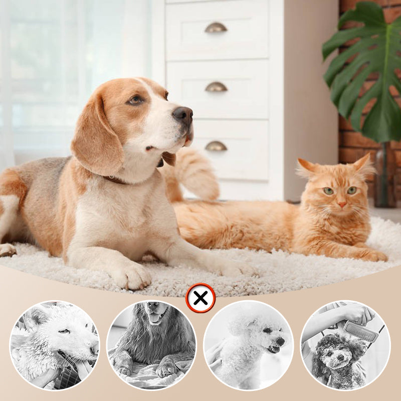PawSilence™ | Geräuscharmer Tierfön mit Bürste