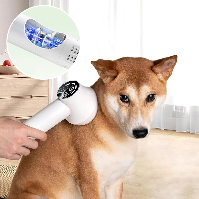 PawSilence™ | Geräuscharmer Tierfön mit Bürste