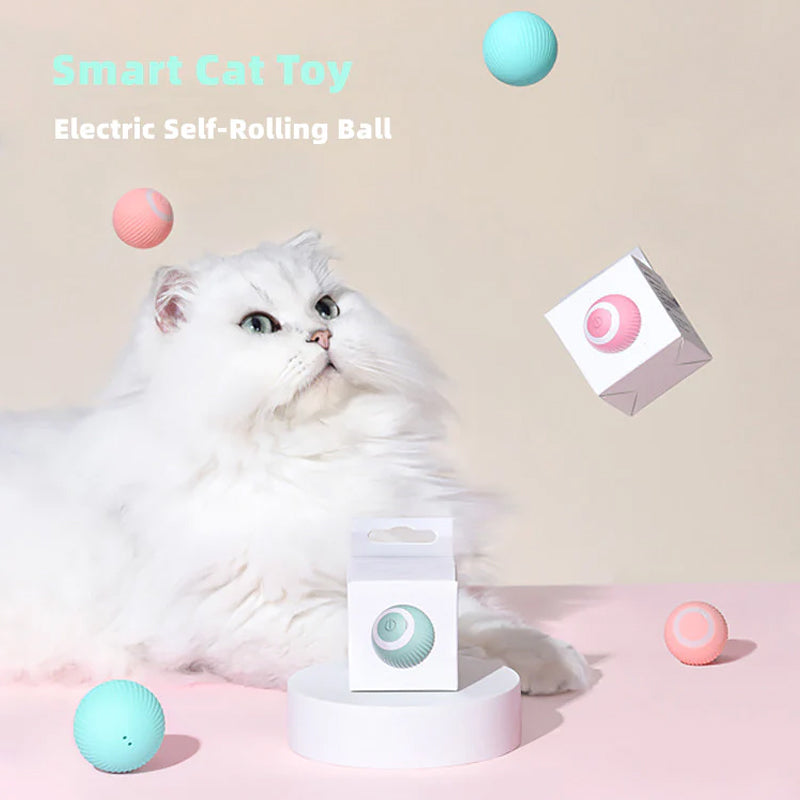 WhiskerRoll™ - Aktivieren Sie die natürlichen Instinkte Ihrer Katze! | 50% RABATT