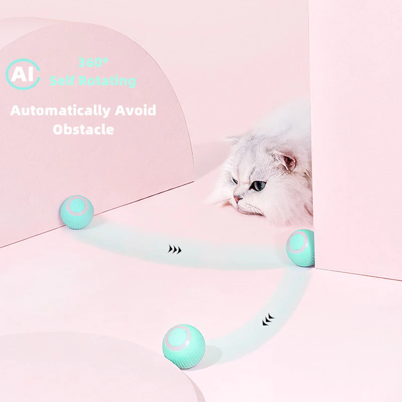 WhiskerRoll™ - Aktivieren Sie die natürlichen Instinkte Ihrer Katze! | 50% RABATT